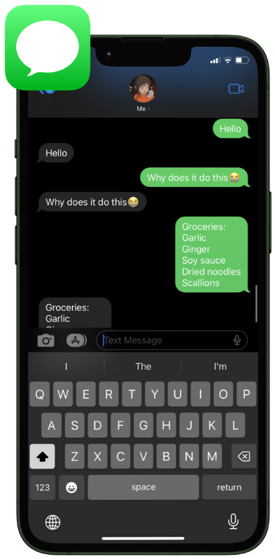 IA funcionando via SMS
